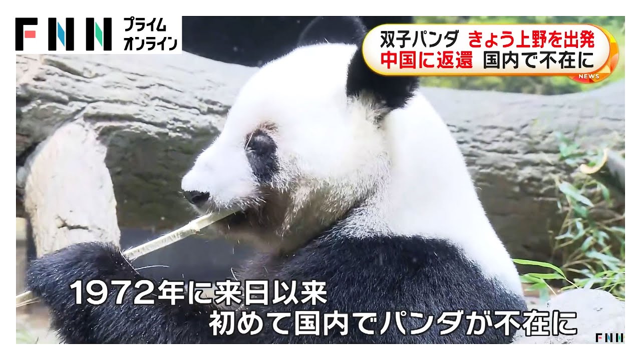 さよなら…今夜上野のパンダ二頭が成田空港から中国へ　1972年の初来日から初めて“パンダ不在”に (2026/01/27) img