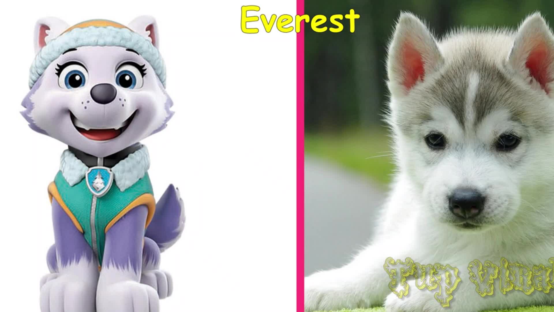 Even cartoon puppies love a spa day! Follow a cute animated puppy as he gets a bubbly bath and a stylish new collar.