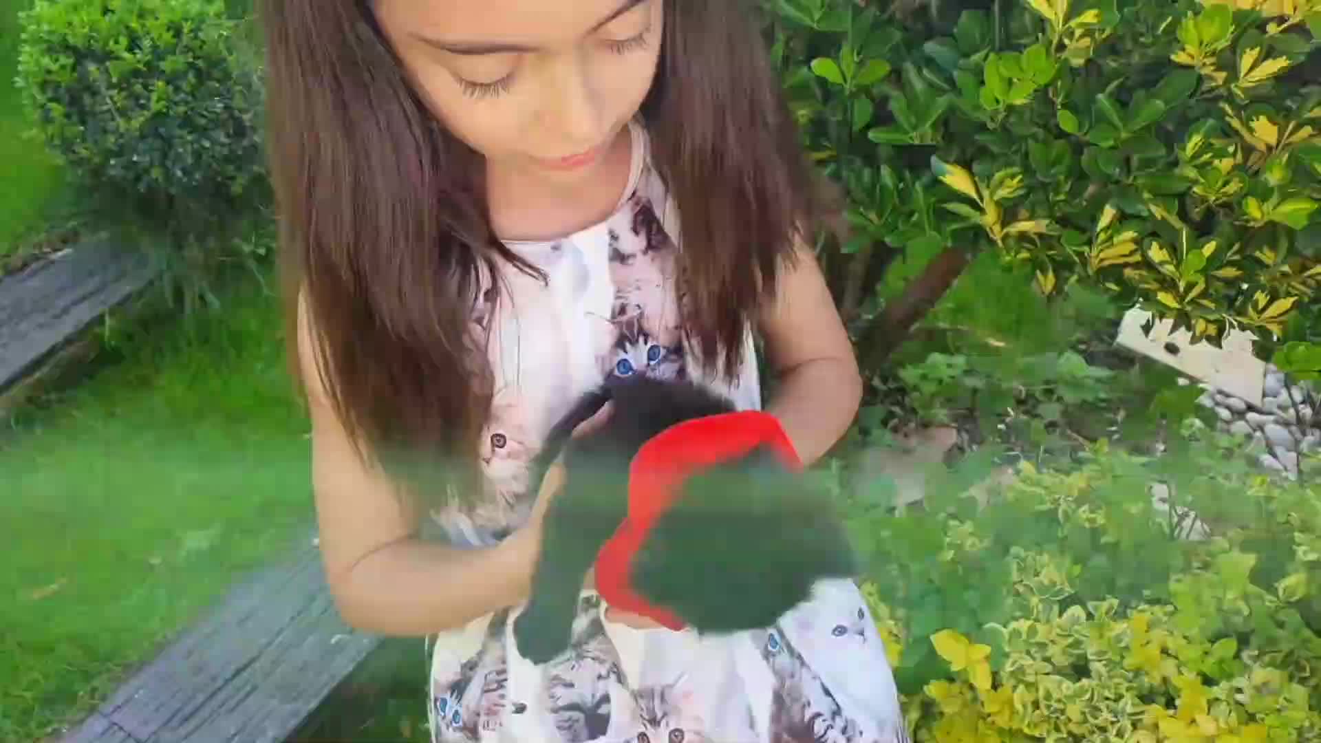 Spend a delightful day with Emily and a basket full of fluffy kittens! A heartwarming video for all animal lovers.