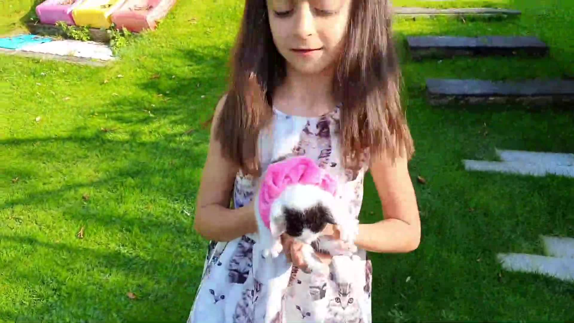 Black, white, orange, and grey! Discover all the beautiful colors of our kitten friends in this adorable color-learning video.