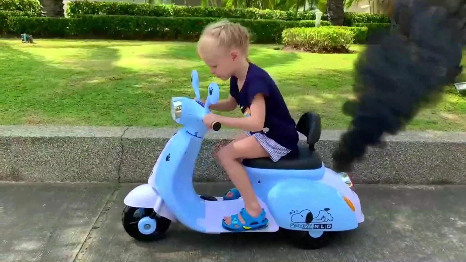Even animal cars need friends! Watch as our animal vehicle friends help each other out, showing the true meaning of kindness on the open road.